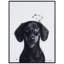 Teckel - cadre photo, impression sur verre