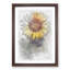 The Sunflower in Abstract - Framed Print-55770948-55770951