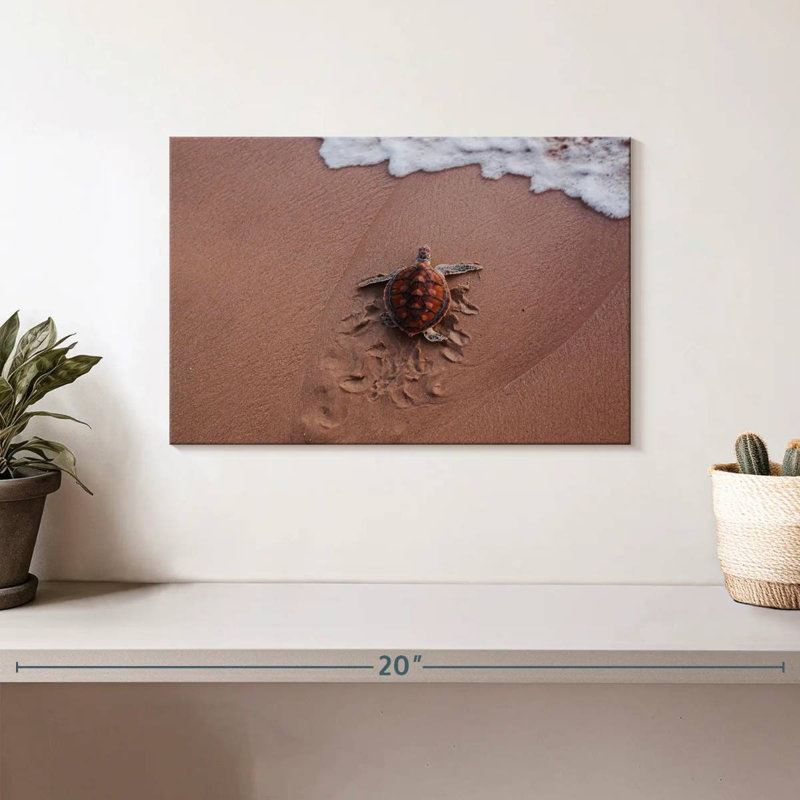 Brampt Turtle Footprints, 8" H x 12" W