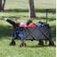 Chariot d'aventure extérieur multi-utilitaire portatif-40524972