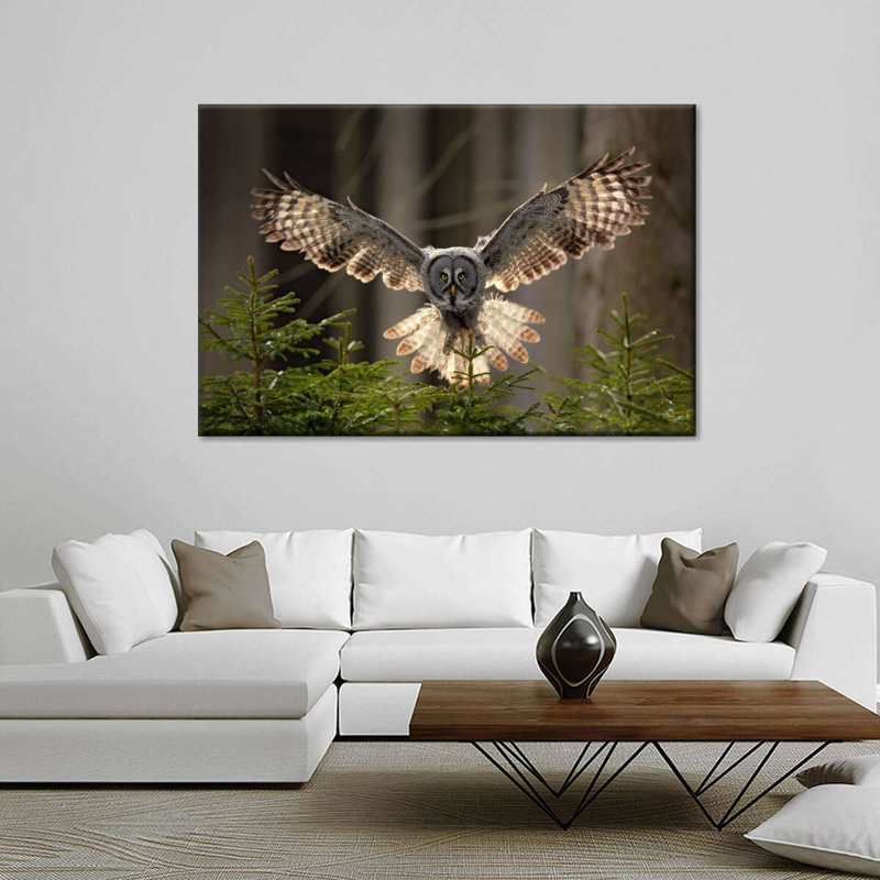 Flying Owl, reproduction sur toile, H 45 po x l 30 po x P 1,25 po