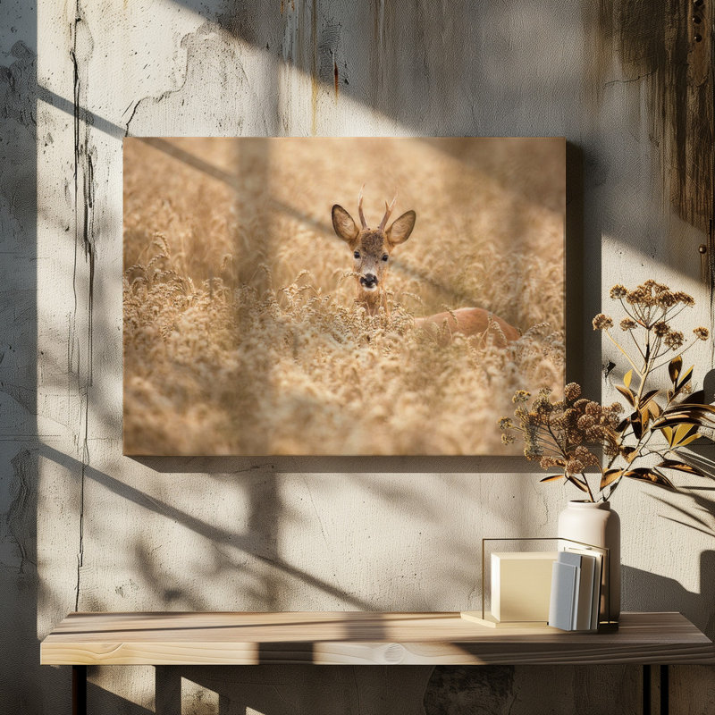 Wrapped Canvas Print, 81.28 cm H x 121.92 cm W
