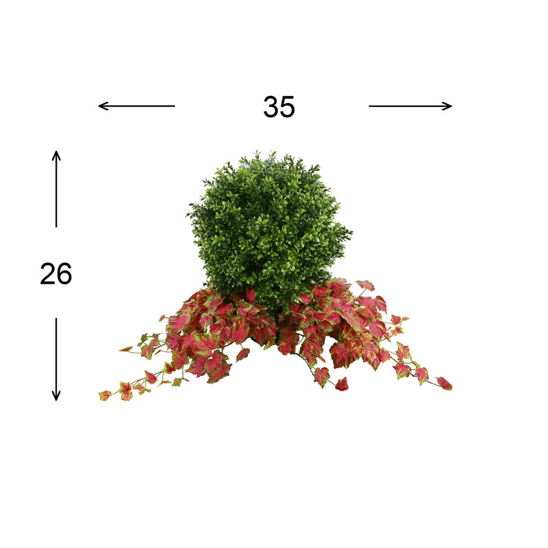 Outdoor Boxwood Topiary Drop-In with Ivy