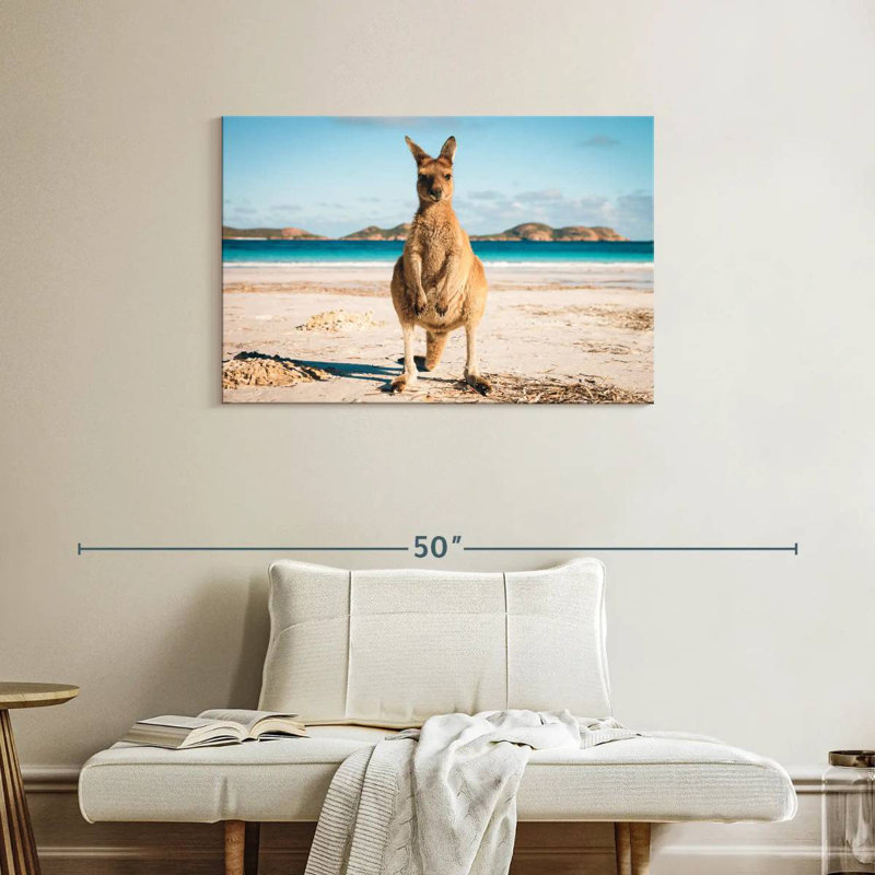 Kangourou Crowle Lucky Bay, H 24 po x l 36 po