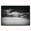 «Lonely Tree on Meadow Black White», reproduction de photo sur toile tendue encadrée-26687091