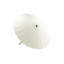 Amora 249cm Parasol-1547171334