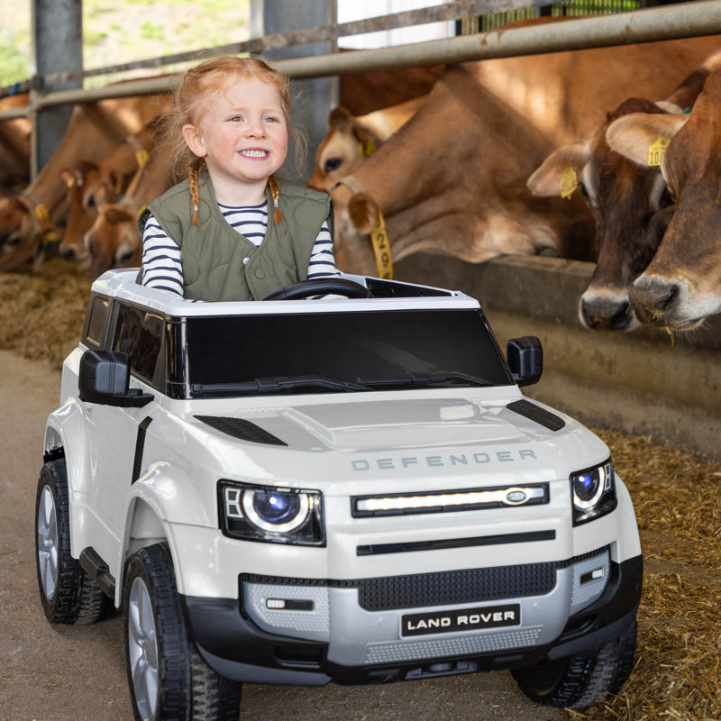 Land Rover Defender, White