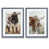 Grey Framed Set