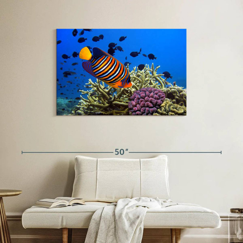 Brampt Royal Angelfish, 26" H x 39" W