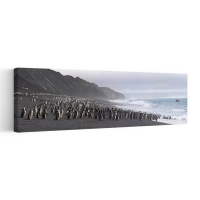 Chinstrap Penguins Marching To The Sea, Bailey Head, Deception Island, Antarctica Abstract Contemporary Penguin Landscape Nature Wall Art