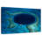 Kavia Belize Great Blue Hole-107859819