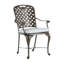 Provance Patio Dining Armchair with Cushion-83260245-93663948-83260219