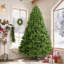 Sapin de Noël-1106260399