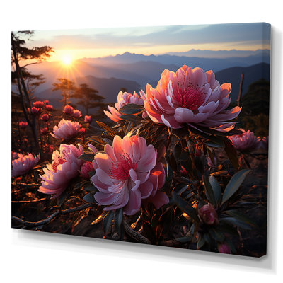 " Pink Rhododendron Field Blooms At Sunset "