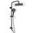 10 Inch Black Dual-Function Shower System with Rough in-Valve