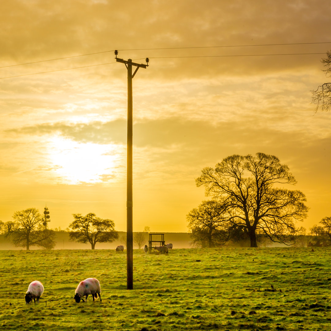 Leinwandbild Winter Sunset von John-Kelly