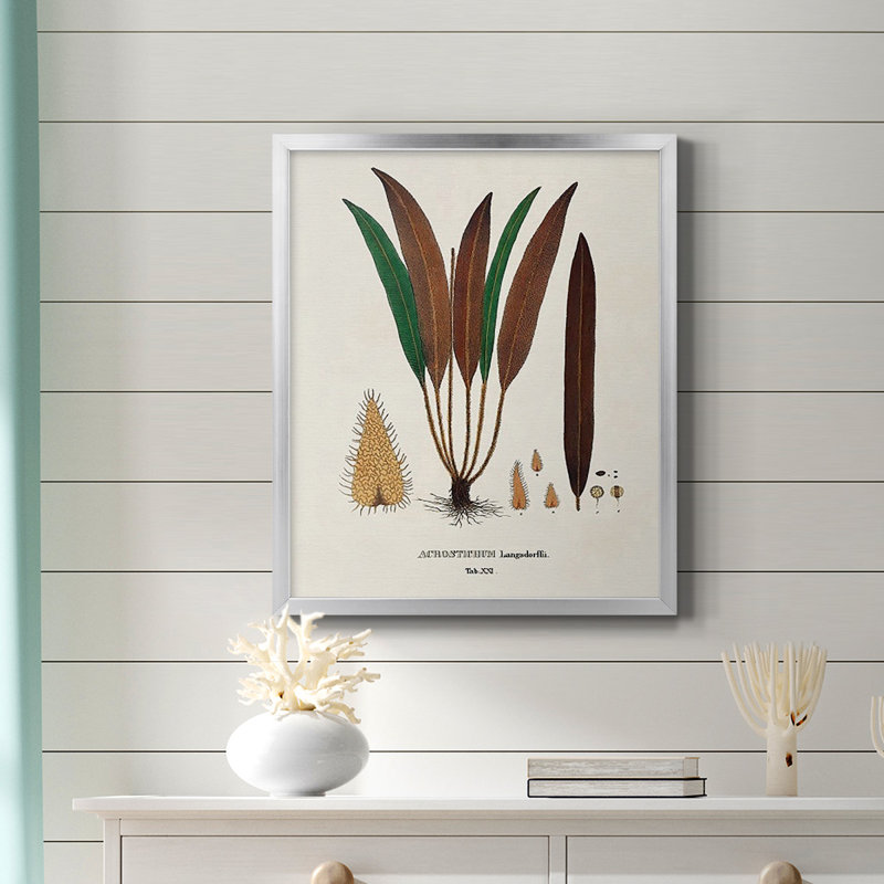 Botanical Society Ferns I, toile encadrée de qualité supérieure - prête à être accrochée, Argent, H 24 po x l 20 po