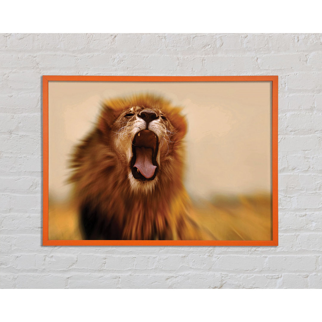 Antoino King Of The Jungle Lion Roar - Einzelbildrahmen Kunstdrucke