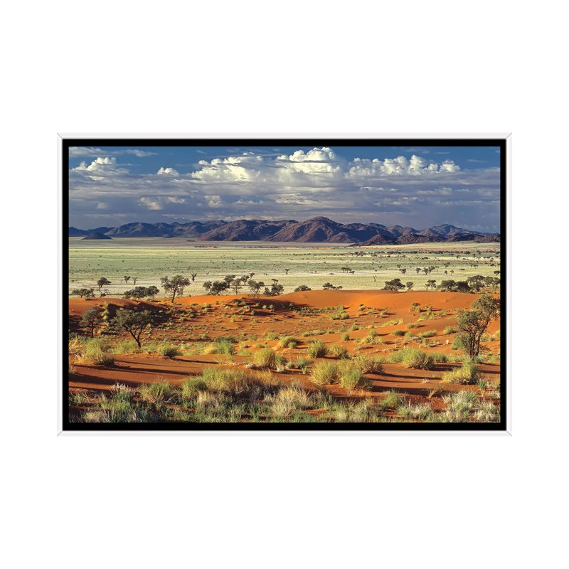 Tok Tokkie Desert by Marc Pelissier - Floater Frame Print on Canvas