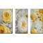 Soleil - Ensemble de 3 toiles tendues-1713142006