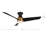 Thalia 54'' Ceiling Fan with LED Lights-95319999