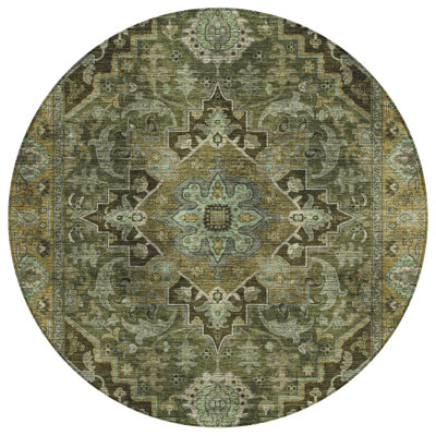 Machine Washable Indoor/Outdoor Arline ACN2165 Global Rug