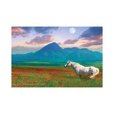 Horse In Flowers II by Christopher Vest - Wrapped Canvas Painting