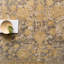 Artifact Wool Oriental Area Rug in Beige-1976140945