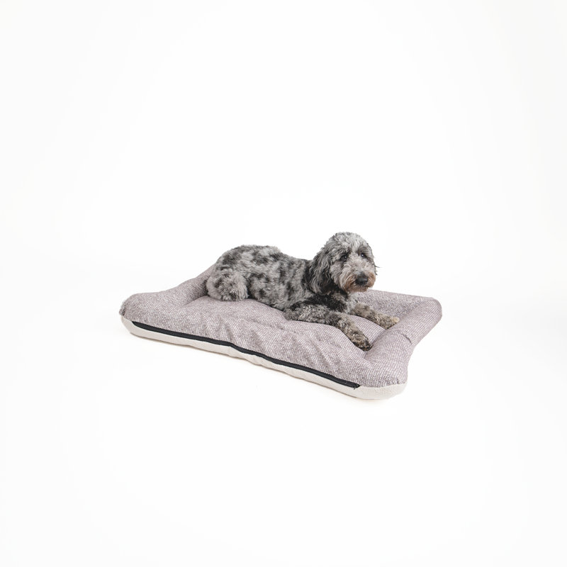Lit pour chien et chat en microsuède réversible ivoire All Day with Cloud 9, H 5 po x l 40 po x P 30 po, Lin Merlin