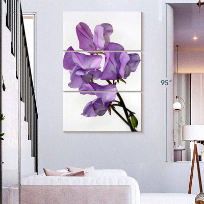 Harnek Sweet Pea Flowers