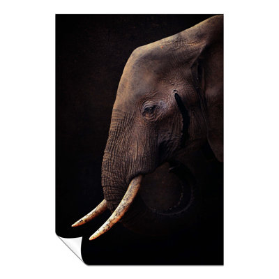 Old Elephant With Sad Eyes - No Frame Print