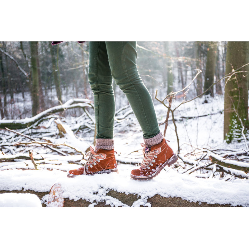Forest Walk - Wrapped Canvas Print, 81cm H x 122cm W x 3.8cm D