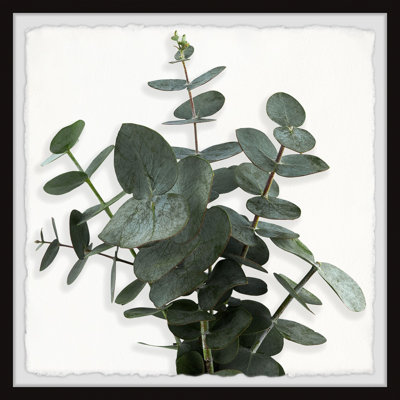 Eucalyptus Leaves - Single Picture Frame Painting