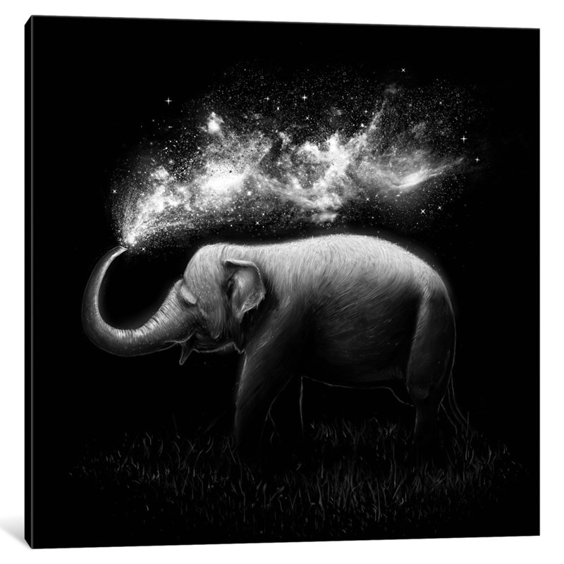 « éléphant splash », impression sur toile tendue, H 37 po x l 37 po x P 1,5 po