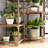 Camyia Plant Stand