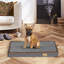 Orthopedic Dog Bed-61196608