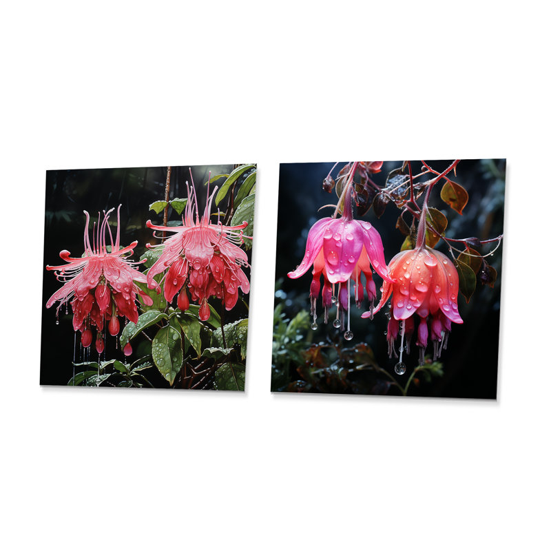 Pétale rose fuchsia coccinea fleurs I, H 16 po x l 32 po