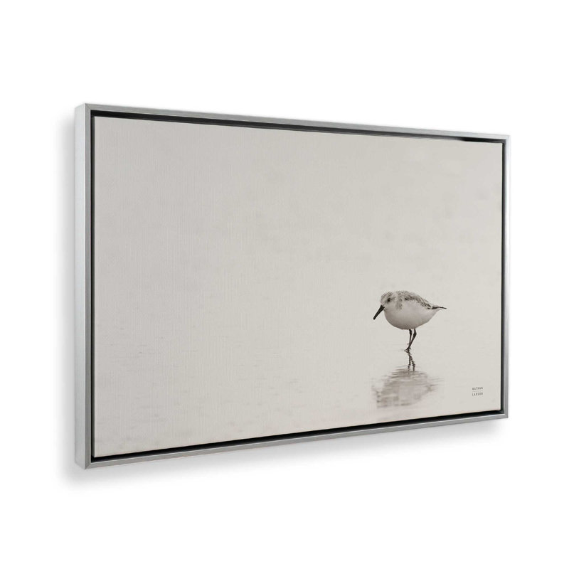 Impression sur toile Tybee Island Sanderling par Nathan Larson, Argent argent, Cadre flottant, H 24 po x l 36 po
