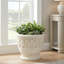 Roselmont Planter-137128713-137128714