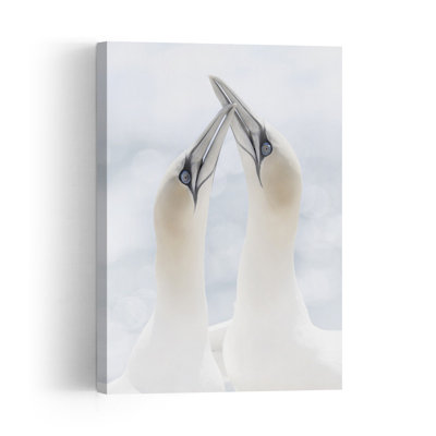Gentle Gannet Embrace Contemporary Bird Wall Art Print 1 Piece Wrapped Canvas Wall Art