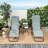 Jesley Outdoor Metal Chaise Lounge Set