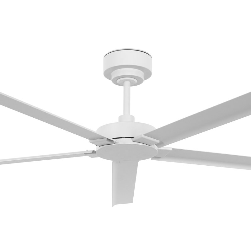Agasthya 152cm Ceiling Fan, White