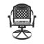 Outdoor Lounge Chair