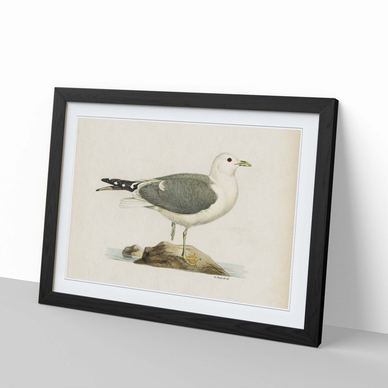 A Common Gull by Von Wright - Single Picture Frame Painting, 45cm H x 63cm W x 2cm D, Black Framed