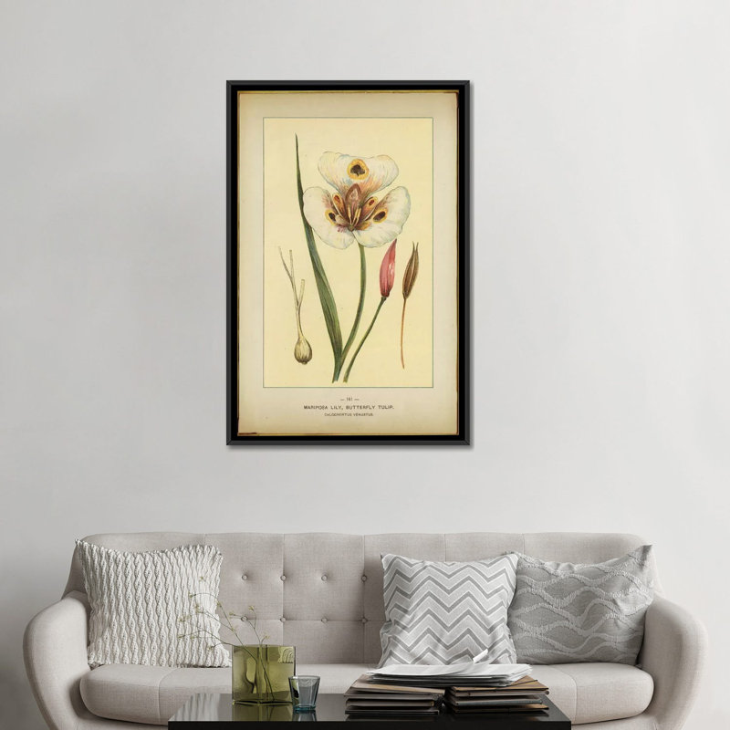 «Mariposa Lily», reproduction sur toile, H 26 po x l 18 po x P 1,5 po, Toile avec cadre noir, Pas de tapis