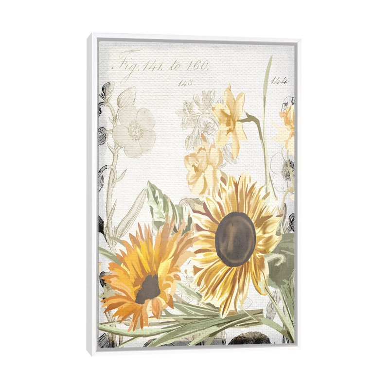Wildflower Guide II by Kimberly Allen - Painting on Canvas, Black Framed, 66.04 cm H x 45.72 cm W