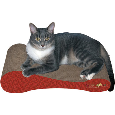 Anton 4 " H Cat Scratching Post