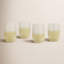 Zyshawn Drinking Glass-272045055