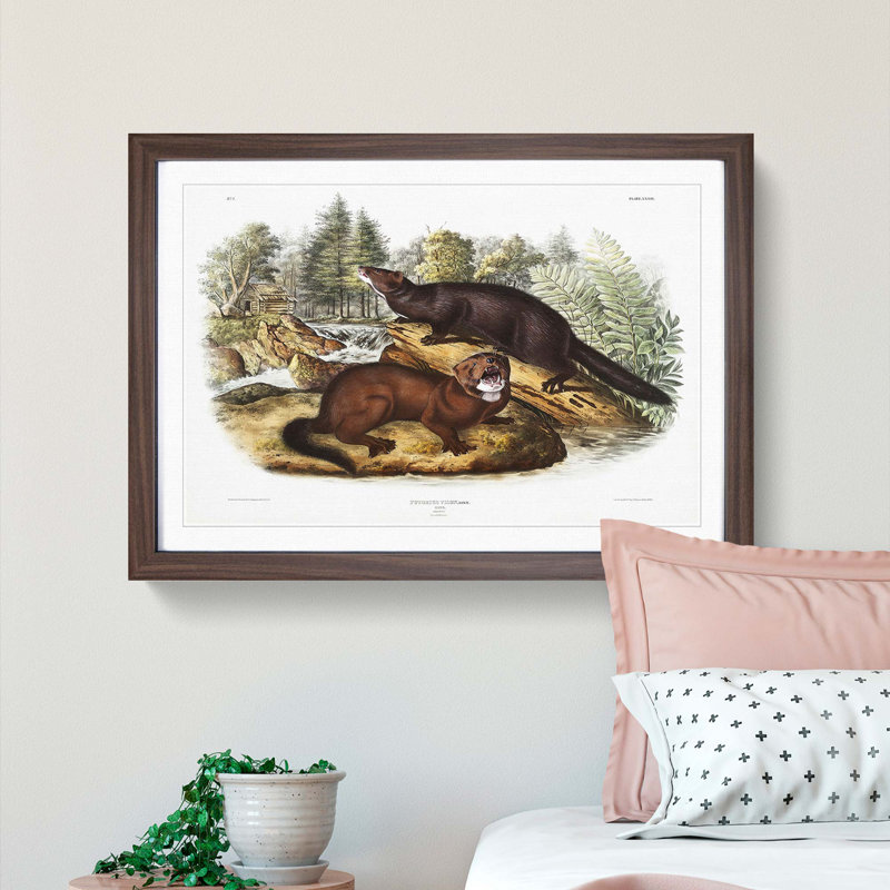 Mink by J.W. Audubon - Picture Frame Painting Print, Walnut Framed, 62cm H x 87cm W x 2cm D