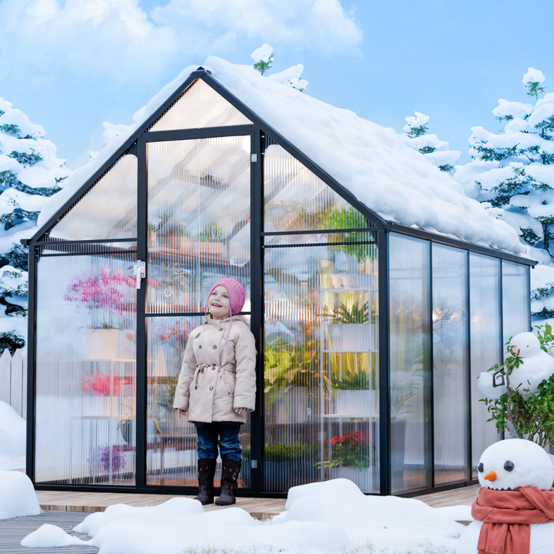 6.17' W x 8.17' D Heavy Duty Greenhouse, Matte Black/Black